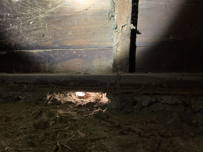 Bizarre-Structural-Inspections