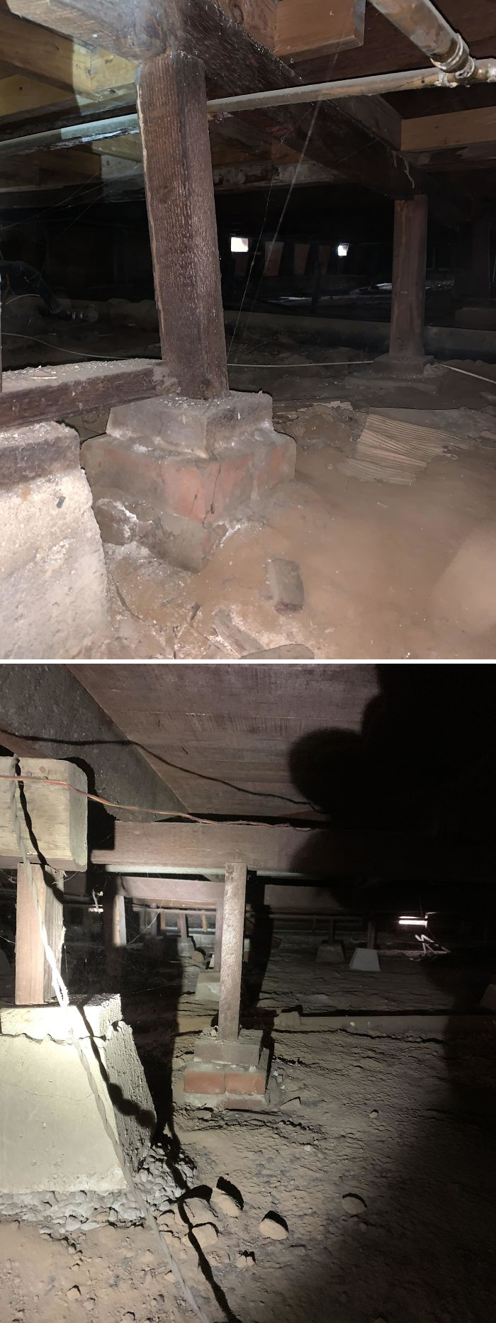 Bizarre-Structural-Inspections