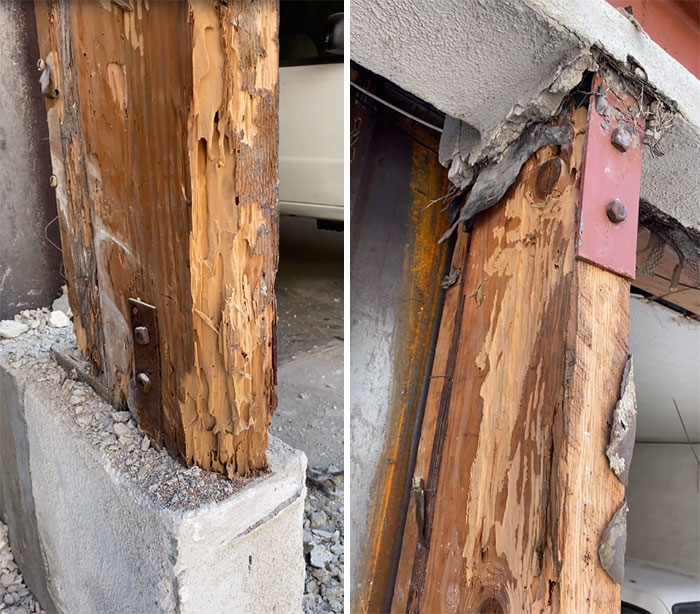 Bizarre-Structural-Inspections