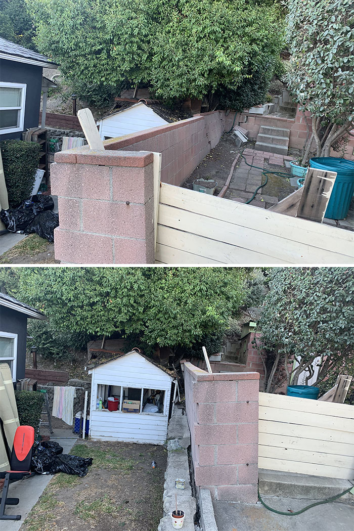 Bizarre-Structural-Inspections