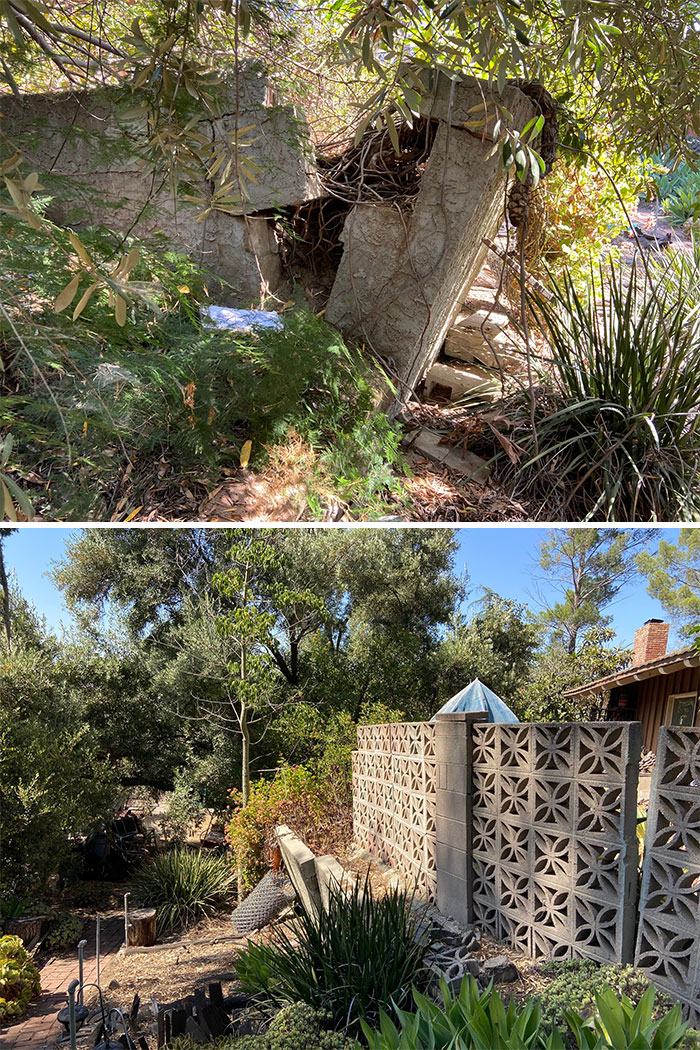 Bizarre-Structural-Inspections