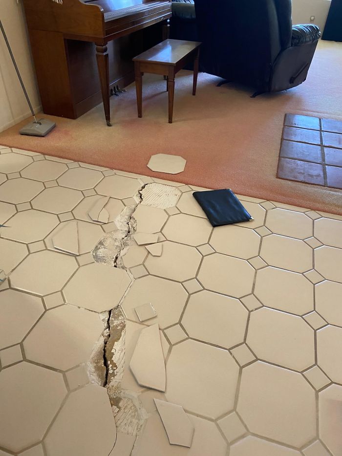 Bizarre-Structural-Inspections