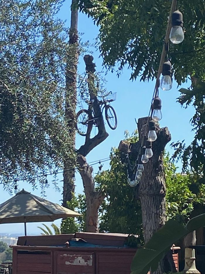 Bizarre-Structural-Inspections