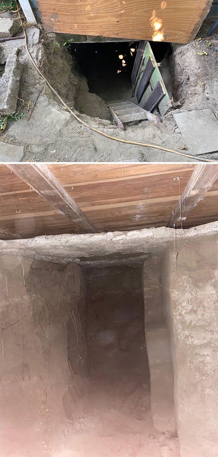 Bizarre-Structural-Inspections