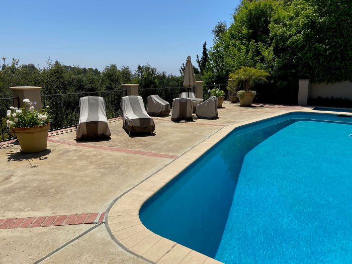 Bizarre-Structural-Inspections