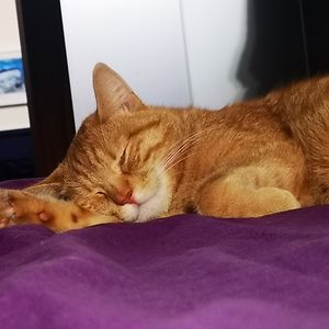 monika-tomaszewska5 avatar