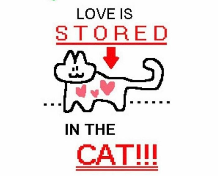 Its Not Exactly Funny... But Its True