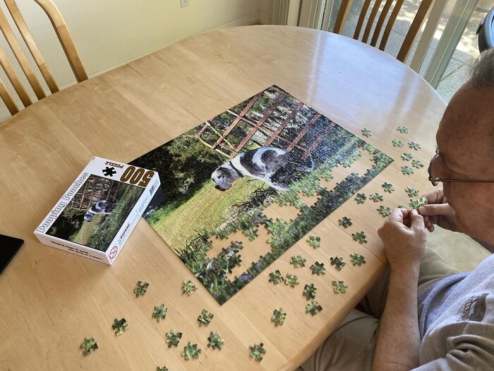 2021 Pooping Dogs Calendar Is Finally Here, And This Year Contains A Puzzle 2021 Pooping Dogs Calendar Is Finally Here, And This Year Contains A Puzzle