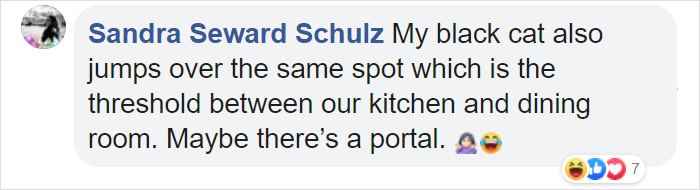 This Cat Leaps Into The Air Each Time She Goes Over This Exact Same Spot In The House This Cat Leaps Into The Air Each Time She Goes Over This Exact Same Spot In The House