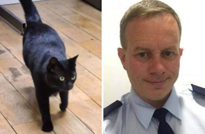 Security Guard Fed A Seemingly Stray Cat For Years, Later Found Out She Was Actually 60 Miles Away From Home So He Returned Her Security Guard Fed A Seemingly Stray Cat For Years, Later Found Out She Was Actually 60 Miles Away From Home So He Returned Her