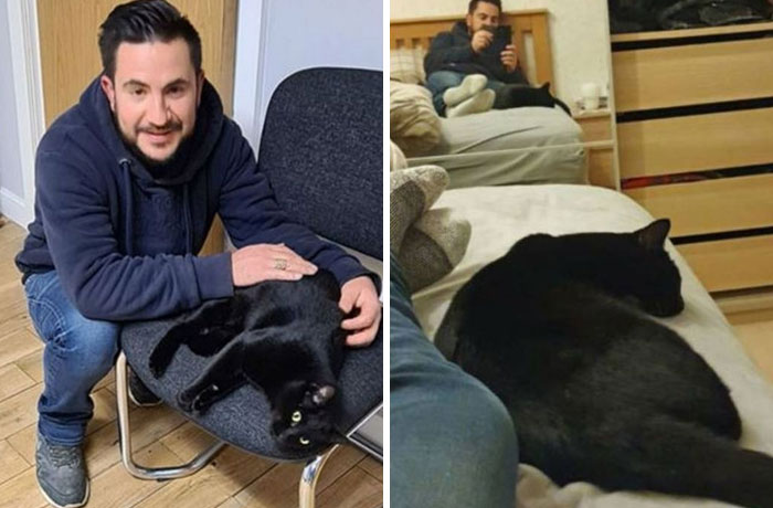Security Guard Fed A Seemingly Stray Cat For Years, Later Found Out She Was Actually 60 Miles Away From Home So He Returned Her Security Guard Fed A Seemingly Stray Cat For Years, Later Found Out She Was Actually 60 Miles Away From Home So He Returned Her