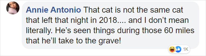 Security Guard Fed A Seemingly Stray Cat For Years, Later Found Out She Was Actually 60 Miles Away From Home So He Returned Her Security Guard Fed A Seemingly Stray Cat For Years, Later Found Out She Was Actually 60 Miles Away From Home So He Returned Her