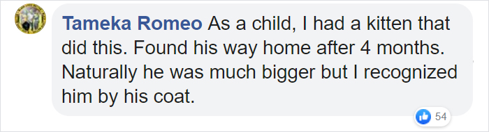 Security Guard Fed A Seemingly Stray Cat For Years, Later Found Out She Was Actually 60 Miles Away From Home So He Returned Her Security Guard Fed A Seemingly Stray Cat For Years, Later Found Out She Was Actually 60 Miles Away From Home So He Returned Her