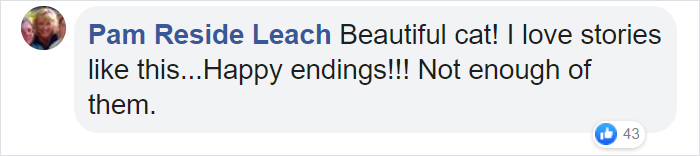 Security Guard Fed A Seemingly Stray Cat For Years, Later Found Out She Was Actually 60 Miles Away From Home So He Returned Her Security Guard Fed A Seemingly Stray Cat For Years, Later Found Out She Was Actually 60 Miles Away From Home So He Returned Her