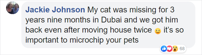 Security Guard Fed A Seemingly Stray Cat For Years, Later Found Out She Was Actually 60 Miles Away From Home So He Returned Her Security Guard Fed A Seemingly Stray Cat For Years, Later Found Out She Was Actually 60 Miles Away From Home So He Returned Her