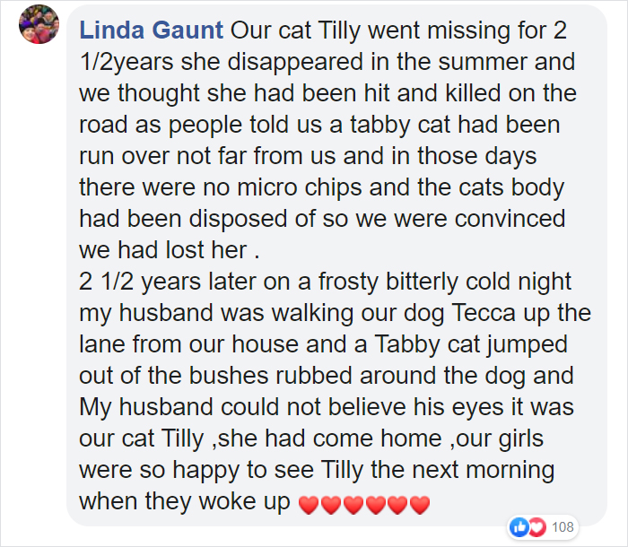 Security Guard Fed A Seemingly Stray Cat For Years, Later Found Out She Was Actually 60 Miles Away From Home So He Returned Her Security Guard Fed A Seemingly Stray Cat For Years, Later Found Out She Was Actually 60 Miles Away From Home So He Returned Her
