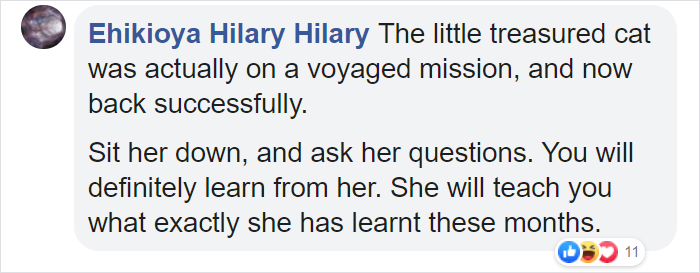 Security Guard Fed A Seemingly Stray Cat For Years, Later Found Out She Was Actually 60 Miles Away From Home So He Returned Her Security Guard Fed A Seemingly Stray Cat For Years, Later Found Out She Was Actually 60 Miles Away From Home So He Returned Her