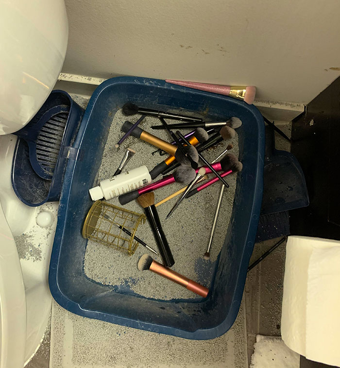 Cats Knocked Over Every Single One Of My Makeup Brushes This Morning. Into Their Freshly Shat In Litter Box