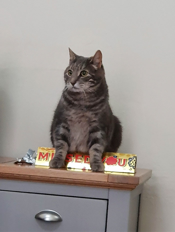 This Jerk Sat On My Toblerone And Melted It