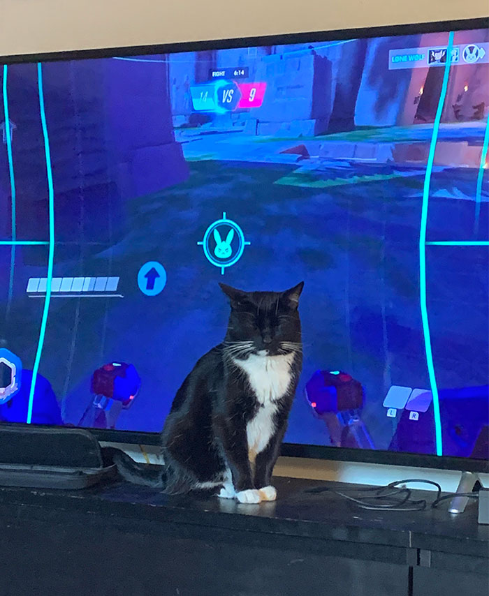 Why You Can’t Find Somewhere Else To Take A Standing-Up Nap