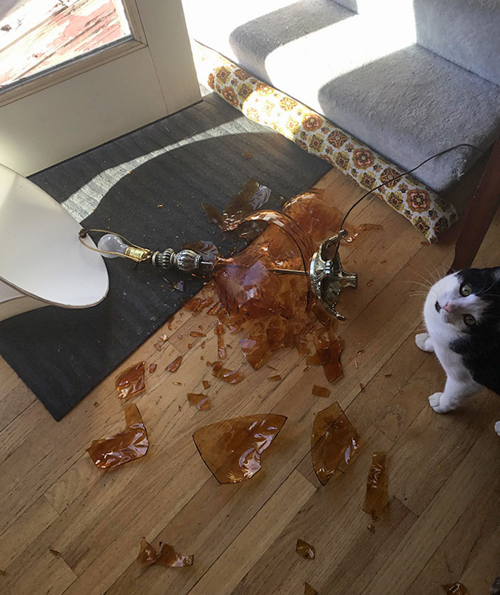 I Don’t Know How This Could Have Happened