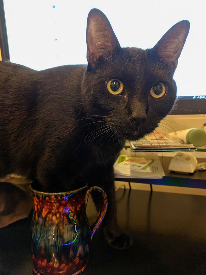 I Guess I'm Done With My Coffee Then