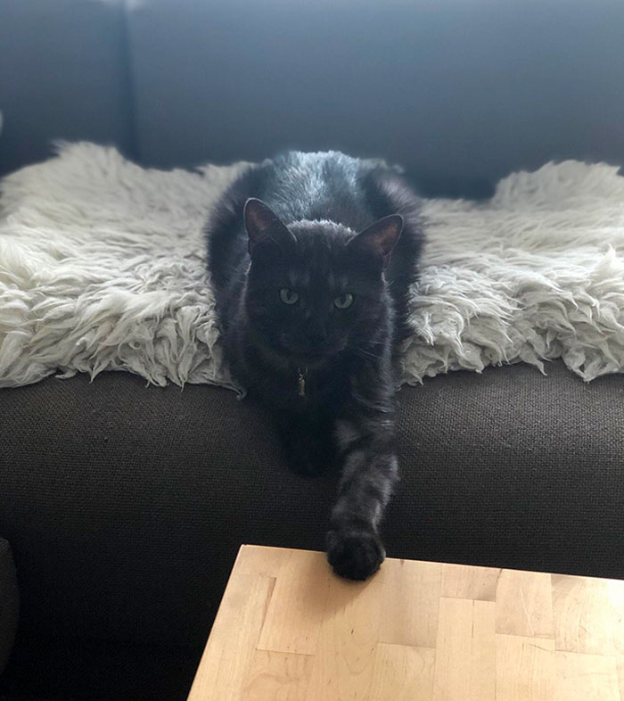 He’s Not Allowed On The Table