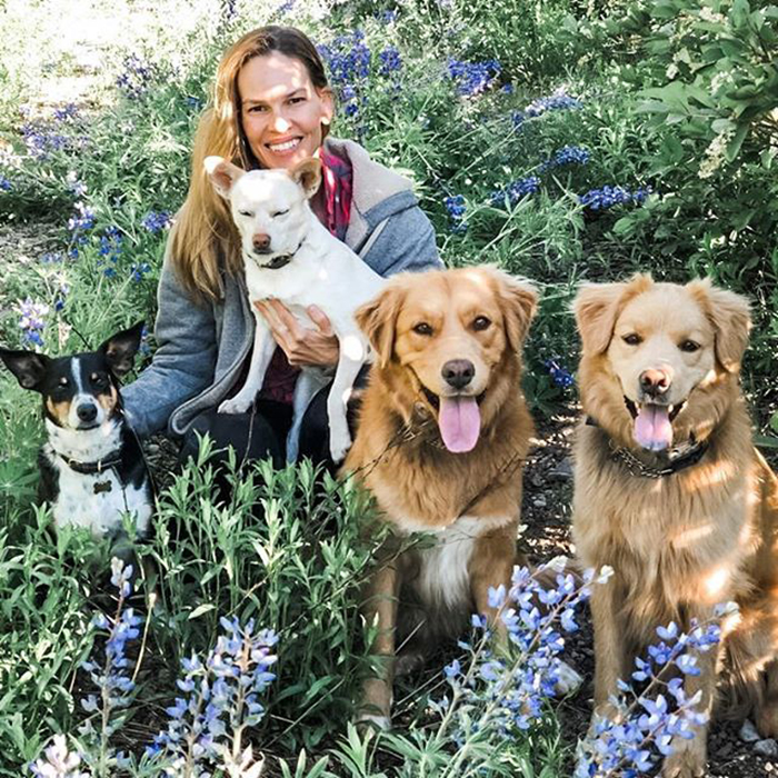 Hilary Swank & Lucky, Karoo, Rumi And Kai