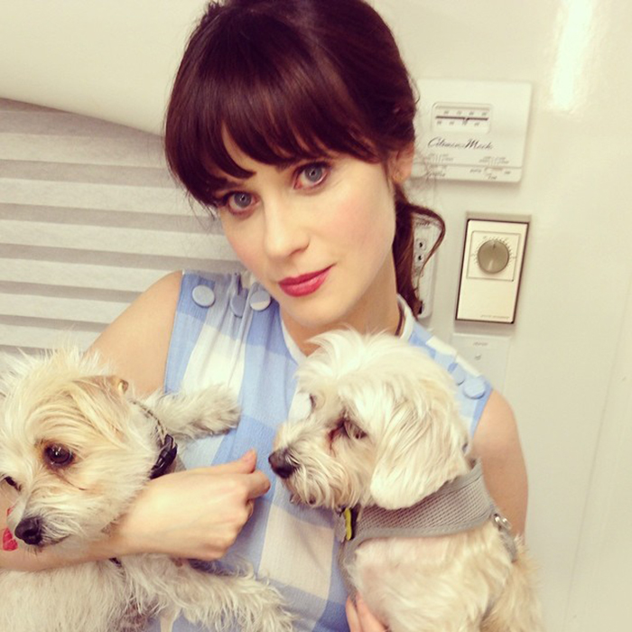 Zooey Deschanel & Dot And Zelda