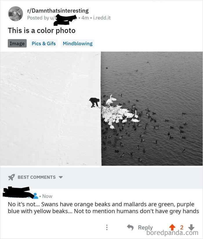 It's Almost Like They Don't Expect Us To Use Our Eyes