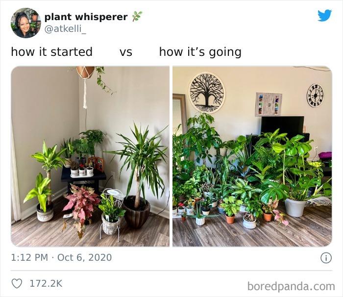 How-It-Started-vs.-How-It-Ended