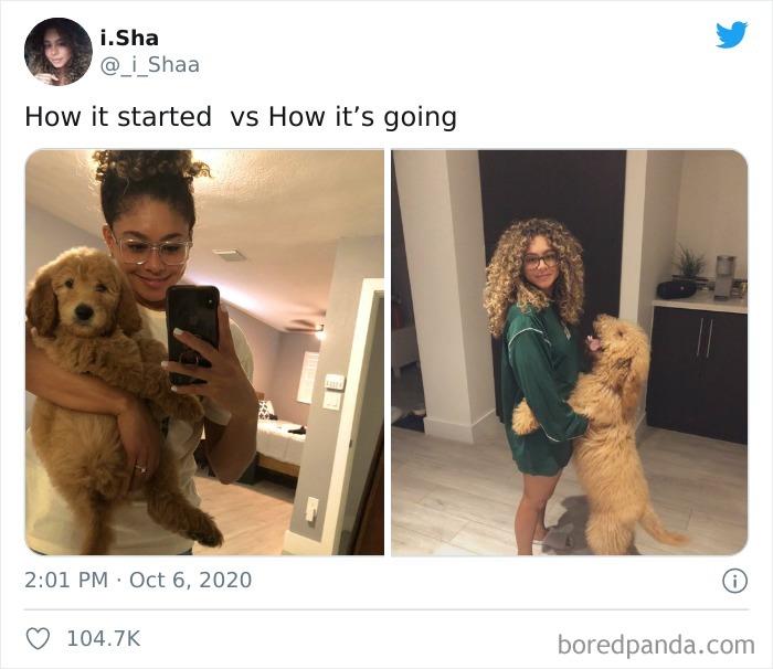 How-It-Started-vs.-How-It-Ended