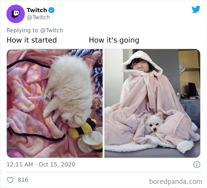 How-It-Started-Ended-Pets