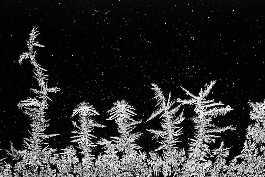 3rd place winner | Intimate Landscape