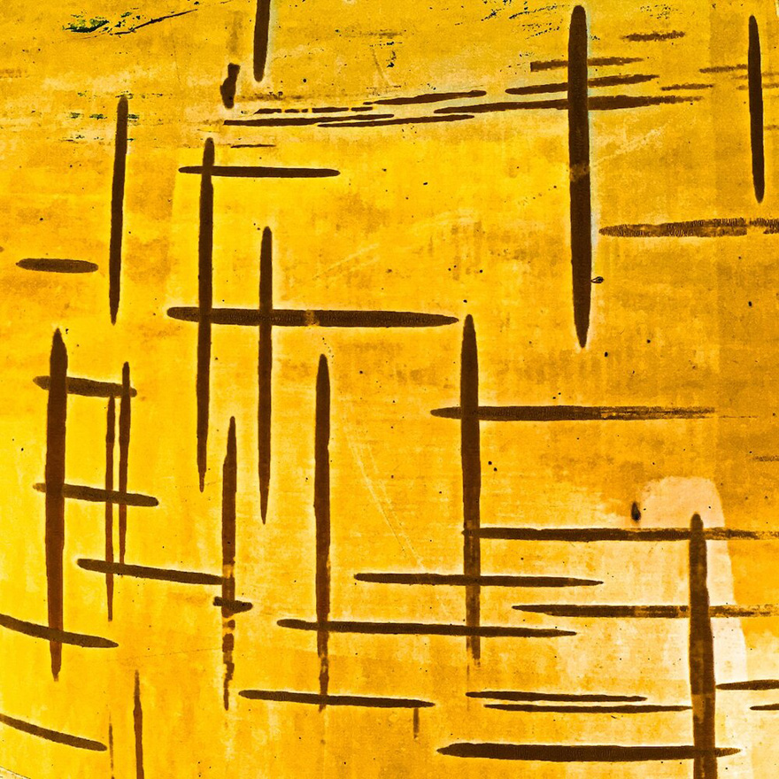 Finalist | Plants & Fungi