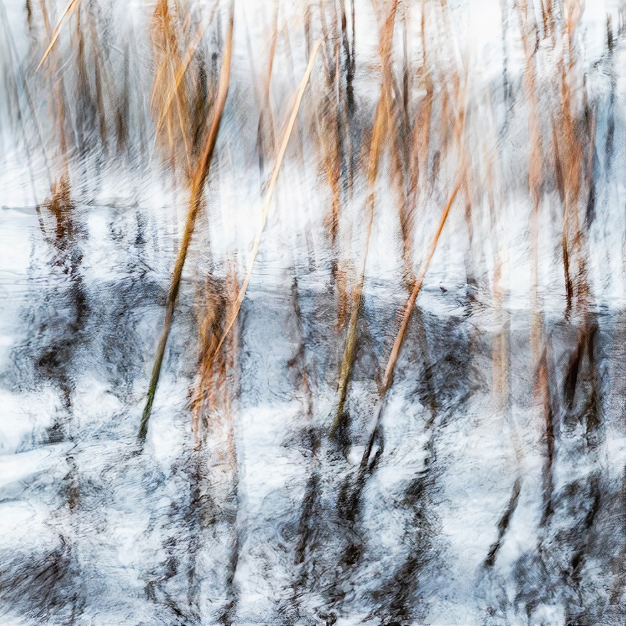 Finalist | Intimate Landscape