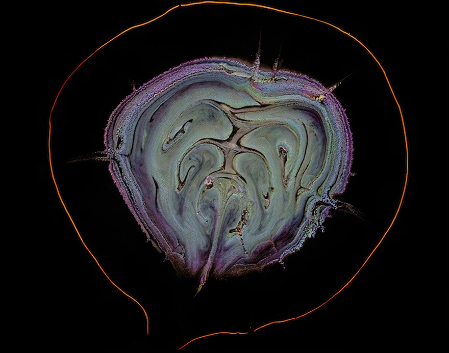 Finalist | Manmade World