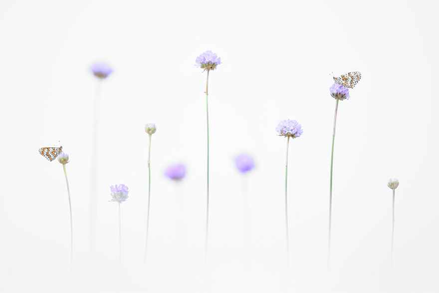 3rd place winner | Young