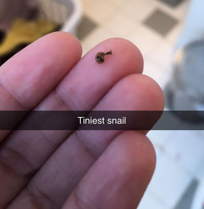 Rescued This Smol Friend From The Shower