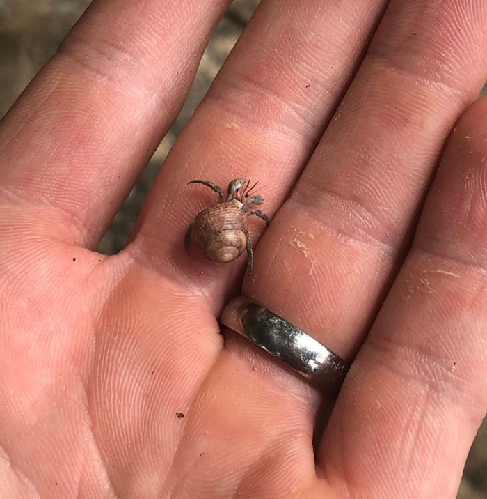 Found This Guy While On My Honeymoon