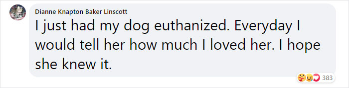 It Turns Out, Dogs React To You Saying 'I Love You' To Them According To This Research