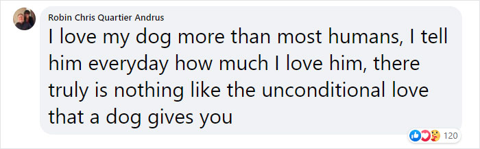 It Turns Out, Dogs React To You Saying 'I Love You' To Them According To This Research