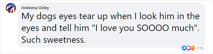 It Turns Out, Dogs React To You Saying 'I Love You' To Them According To This Research