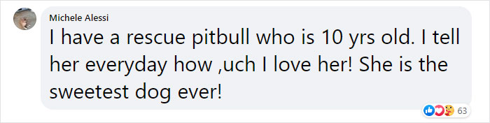 It Turns Out, Dogs React To You Saying 'I Love You' To Them According To This Research