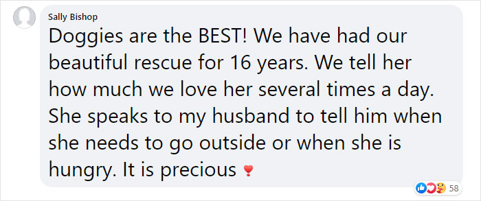 It Turns Out, Dogs React To You Saying 'I Love You' To Them According To This Research It Turns Out, Dogs React To You Saying 'I Love You' To Them According To This Research