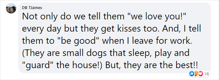 It Turns Out, Dogs React To You Saying 'I Love You' To Them According To This Research It Turns Out, Dogs React To You Saying 'I Love You' To Them According To This Research