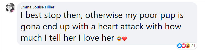 It Turns Out, Dogs React To You Saying 'I Love You' To Them According To This Research It Turns Out, Dogs React To You Saying 'I Love You' To Them According To This Research