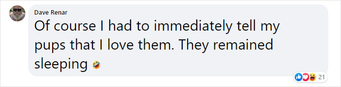 It Turns Out, Dogs React To You Saying 'I Love You' To Them According To This Research