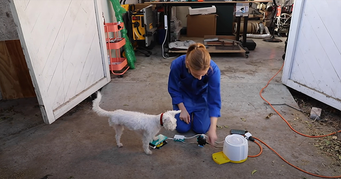 Woman Builds A Photo Booth That Lets Her Dog Take Selfies For Treats, And Over 230K People On Twitter Are Obsessed