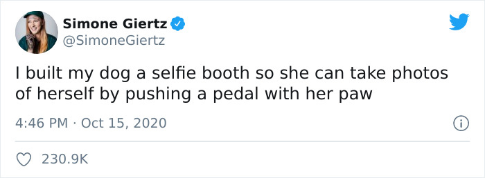 Woman Builds A Photo Booth That Lets Her Dog Take Selfies For Treats, And Over 230K People On Twitter Are Obsessed